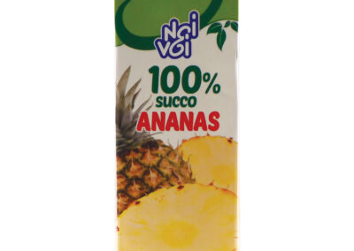 Ananas succo 100% 1L
