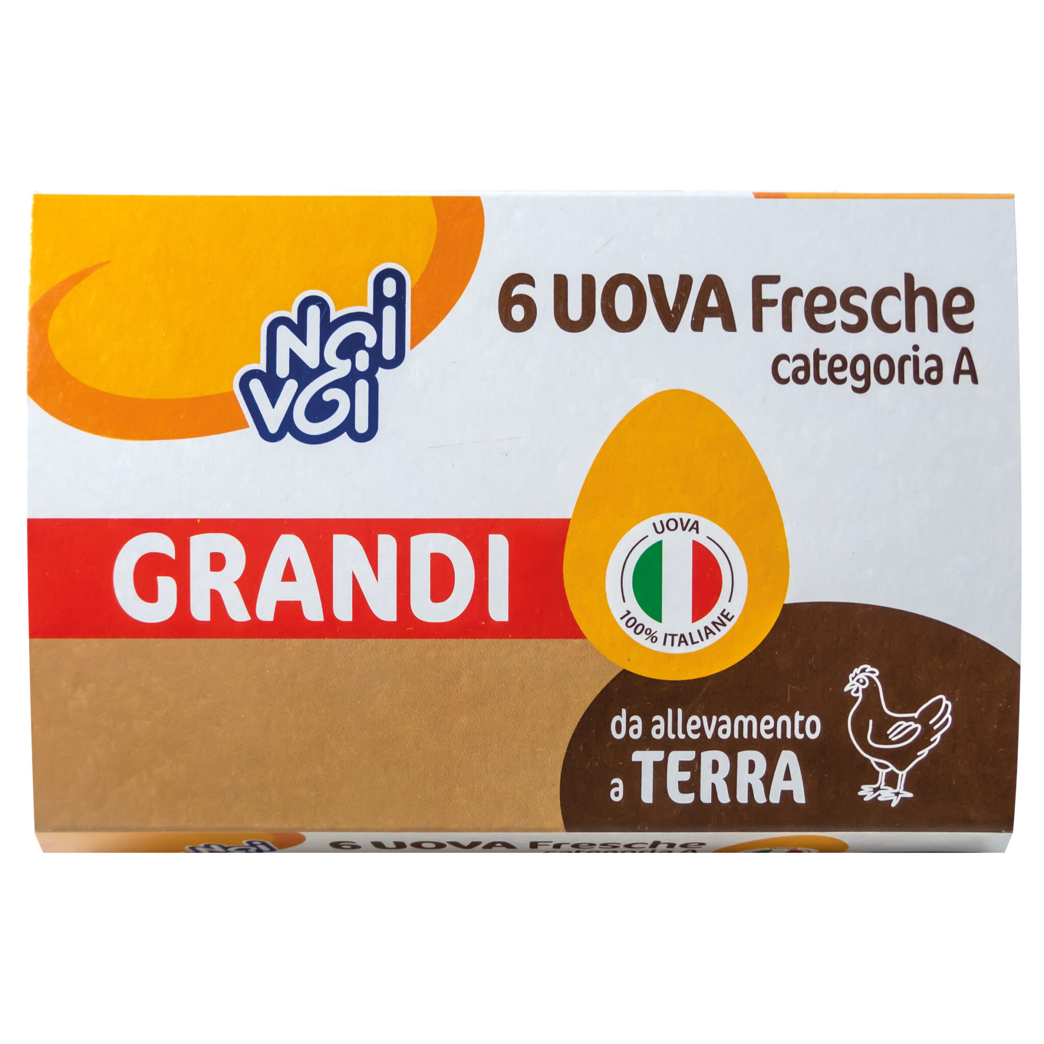 6 Uova Grandi a Terra