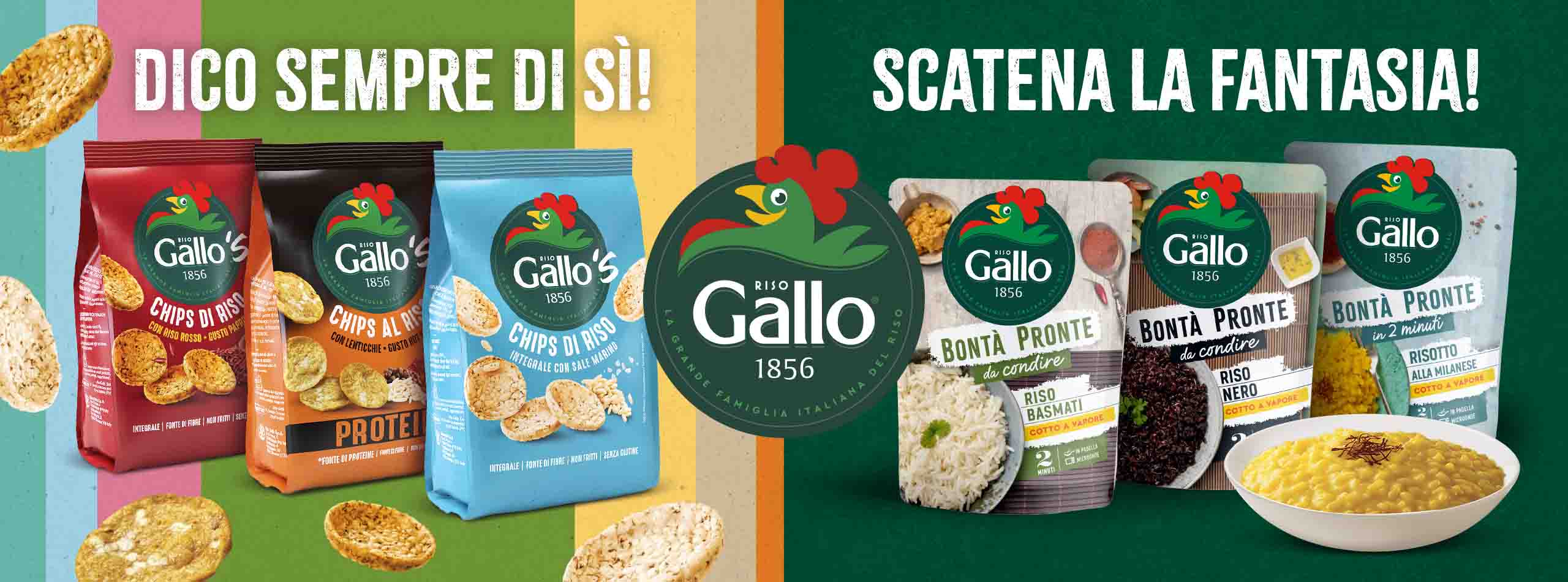 RISOGALLOBANNER